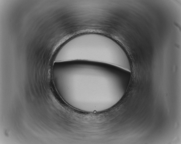 X0000101650016200807100950