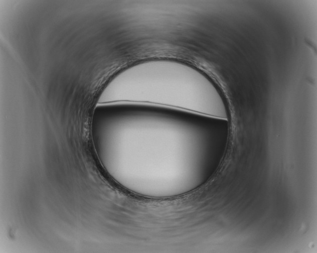 X0000101650017200807100950