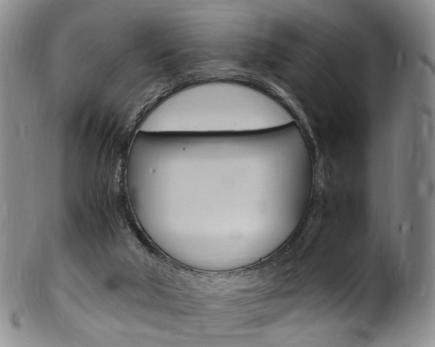 X0000101650018200807100950