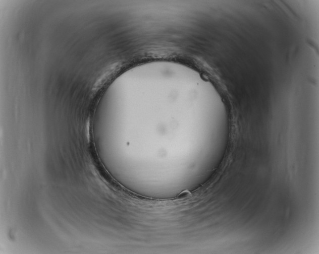 X0000101650019200807100950