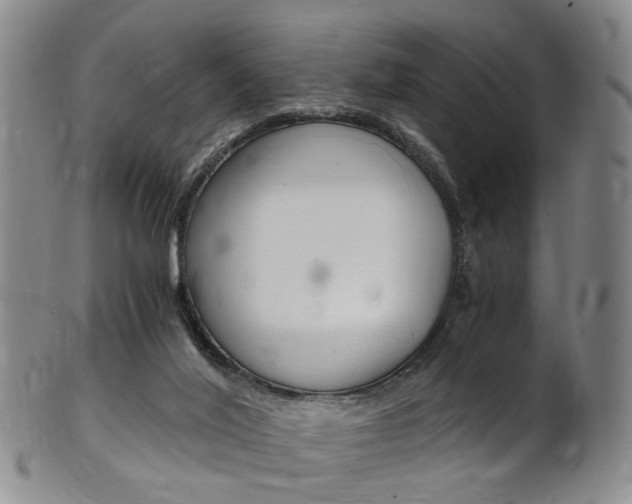 X0000101650020200807100950