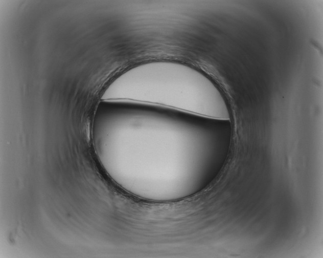 X0000101650021200807100950