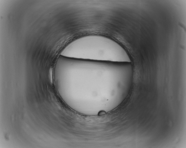 X0000101650022200807100950
