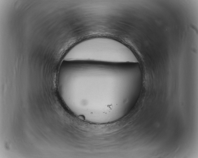 X0000101650023200807100950