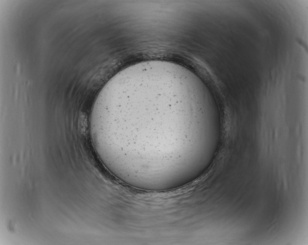 X0000101650025200807100950