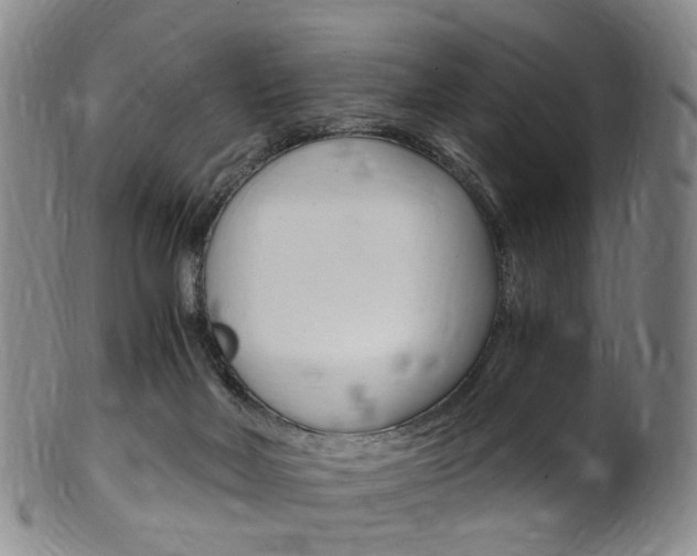 X0000101650026200807100950