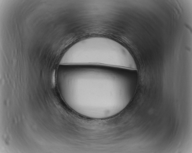 X0000101650028200807100950