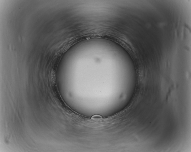 X0000101650029200807100950