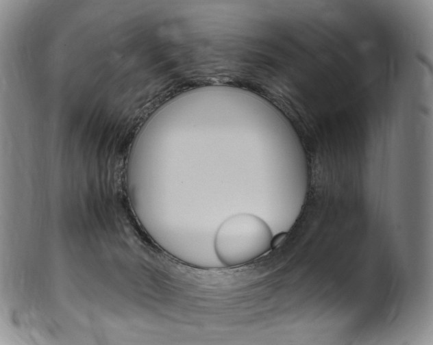 X0000101650030200807100950