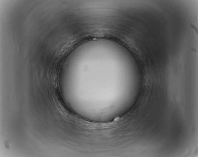 X0000101650031200807100950