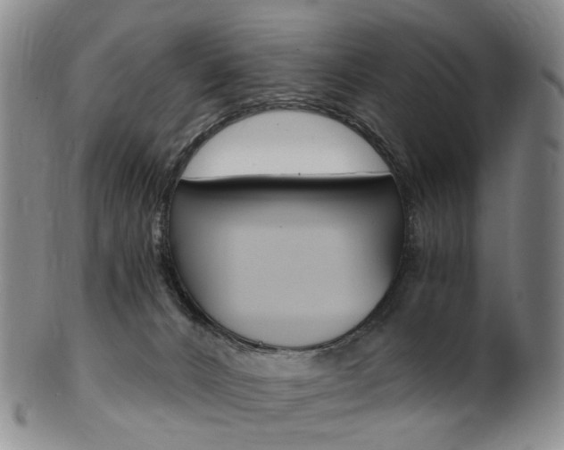 X0000101650032200807100950