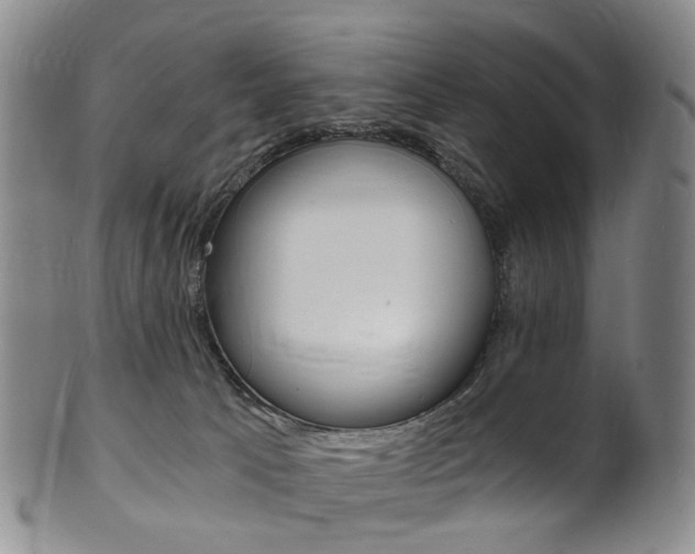 X0000101650033200807100950