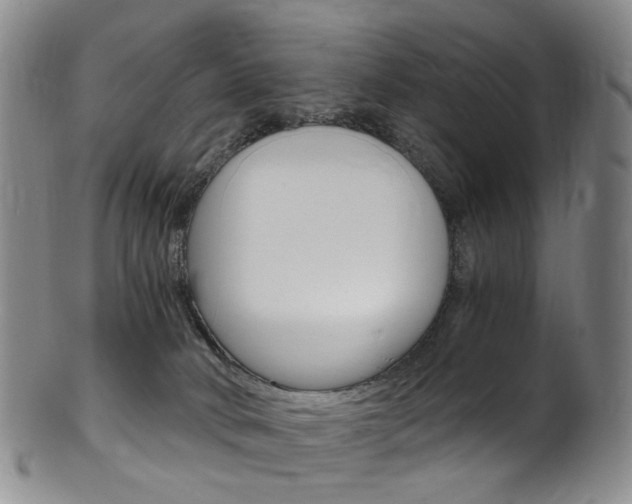 X0000101650034200807100950