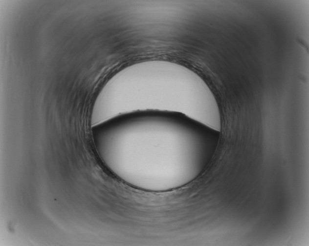 X0000101650035200807100950
