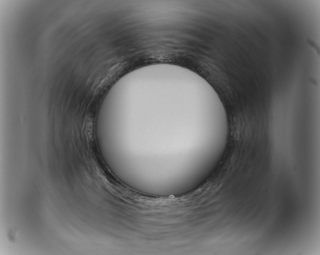 X0000101650036200807100950
