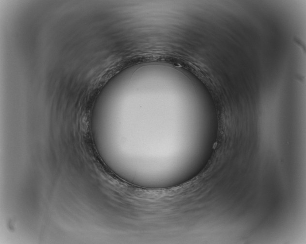 X0000101650037200807100950