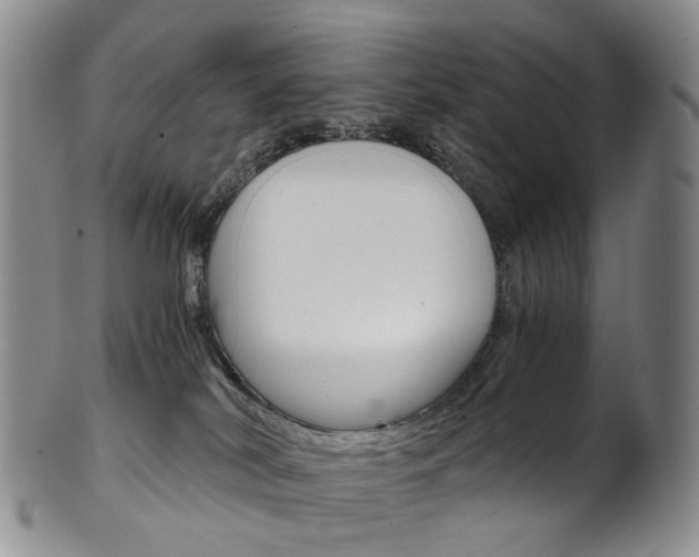 X0000101650038200807100950