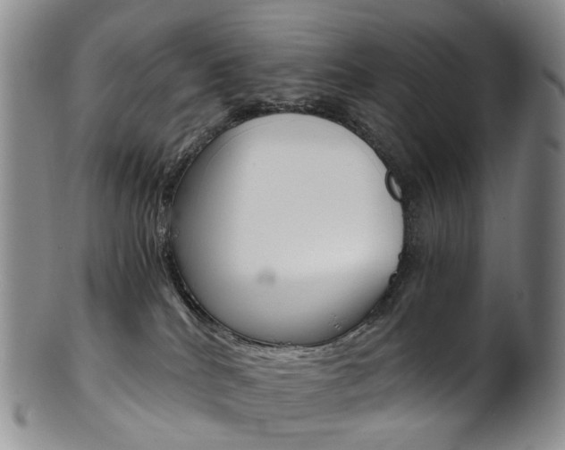 X0000101650040200807100950