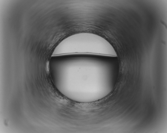 X0000101650041200807100950