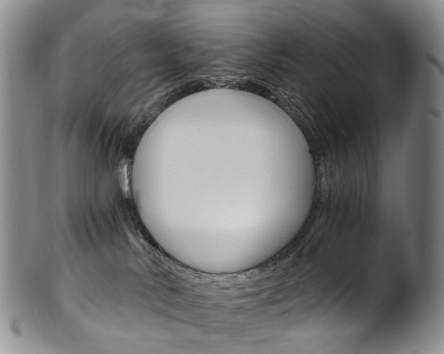 X0000101650042200807100950