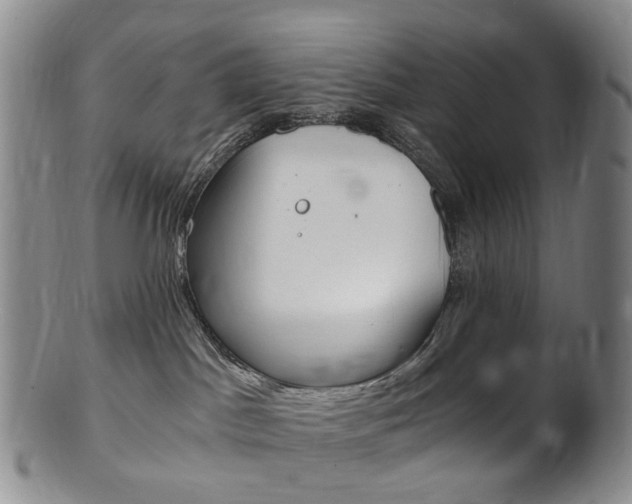 X0000101650045200807100950
