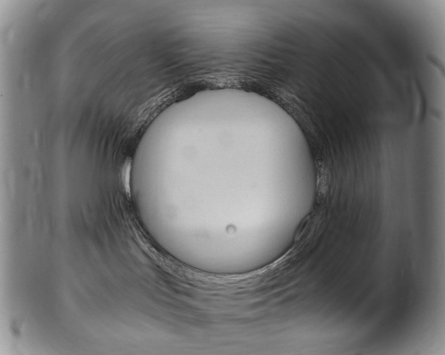 X0000101650047200807100950