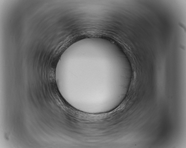 X0000101650048200807100950