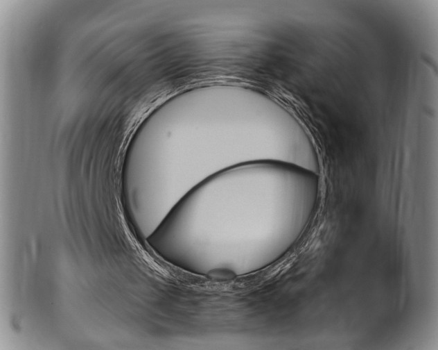 X0000101650049200807100949
