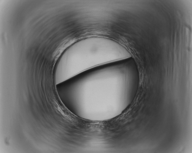 X0000101650050200807100949