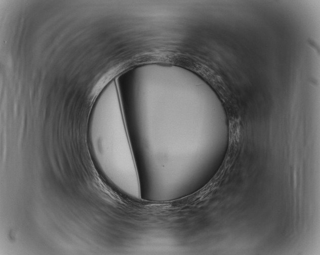 X0000101650051200807100949