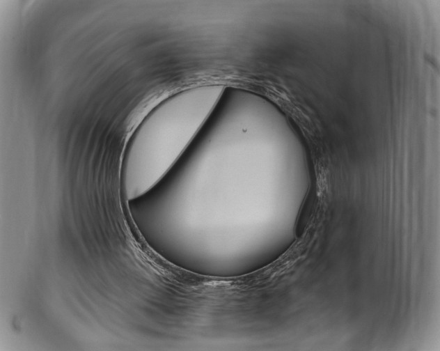 X0000101650052200807100949