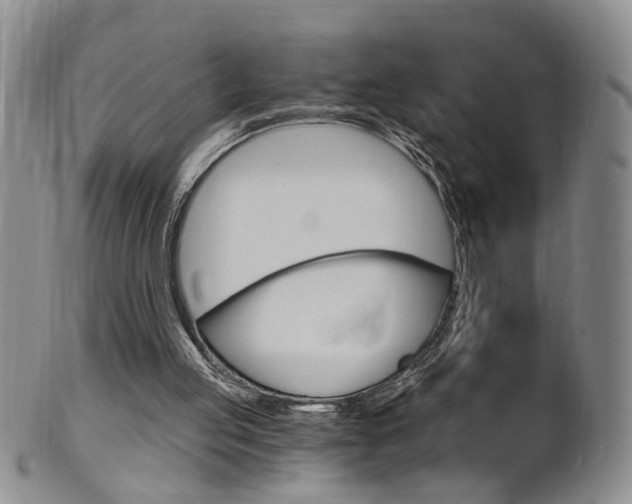 X0000101650053200807100949