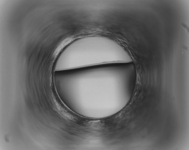 X0000101650054200807100949