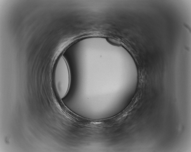 X0000101650055200807100949