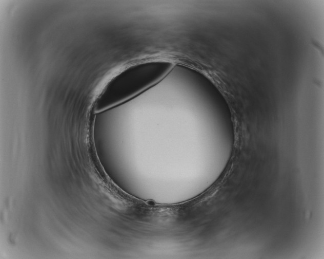 X0000101650056200807100949
