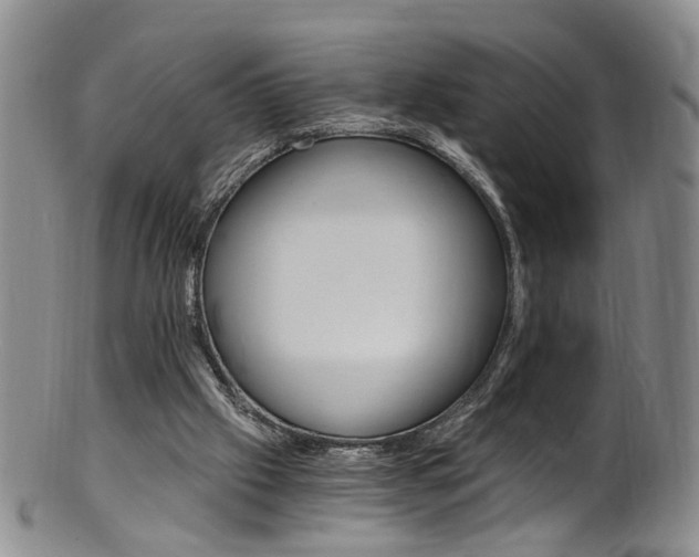 X0000101650057200807100949
