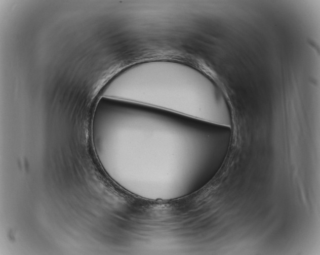 X0000101650059200807100949
