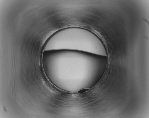 X0000101650060200807100949