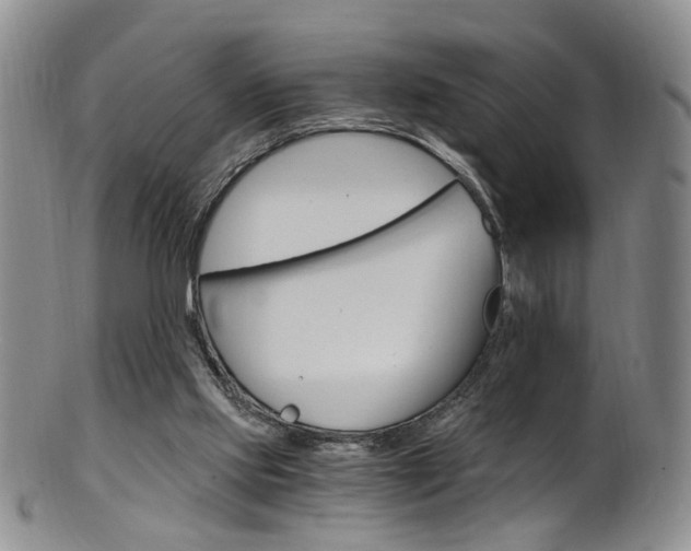 X0000101650061200807100949