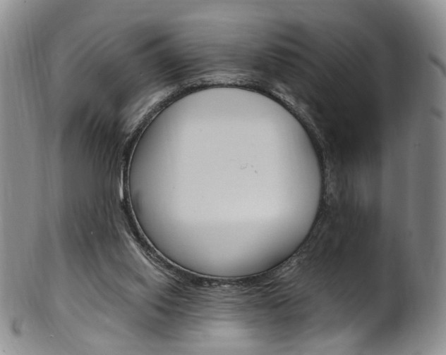 X0000101650062200807100949