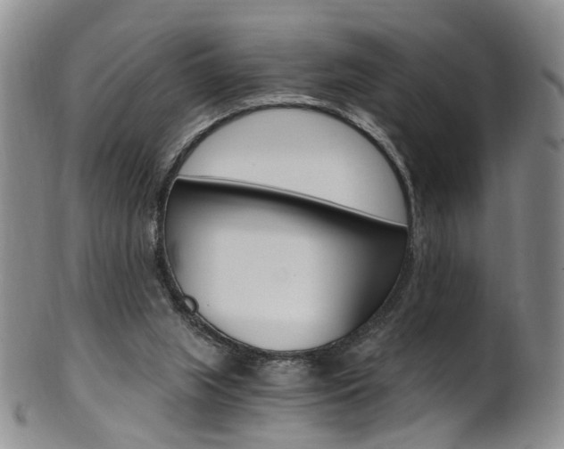 X0000101650063200807100949