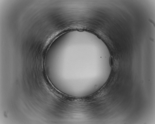 X0000101650064200807100949