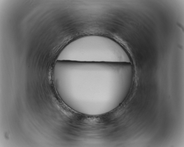 X0000101650065200807100949