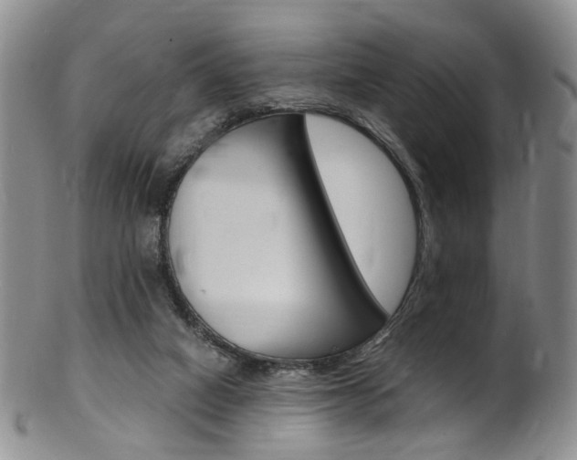 X0000101650066200807100949