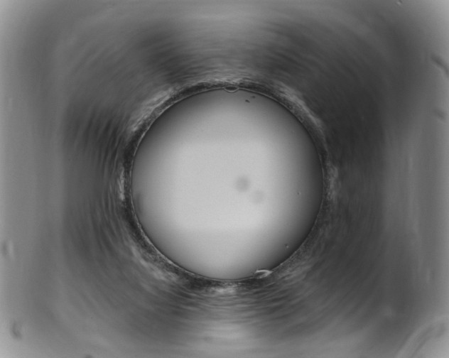 X0000101650068200807100949