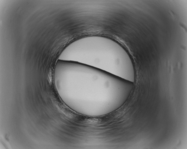 X0000101650069200807100949