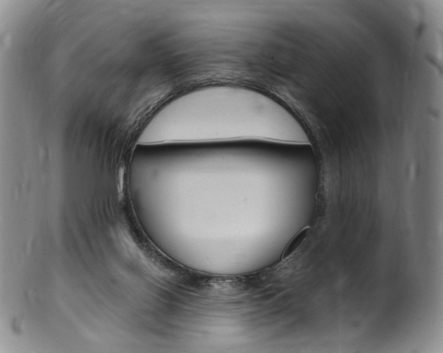 X0000101650070200807100949