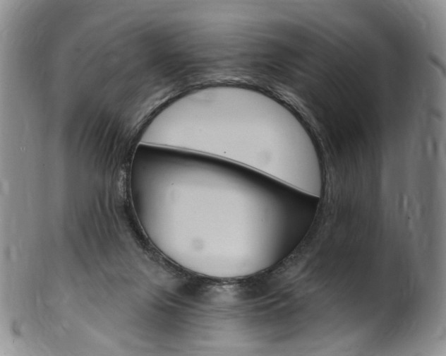 X0000101650071200807100949