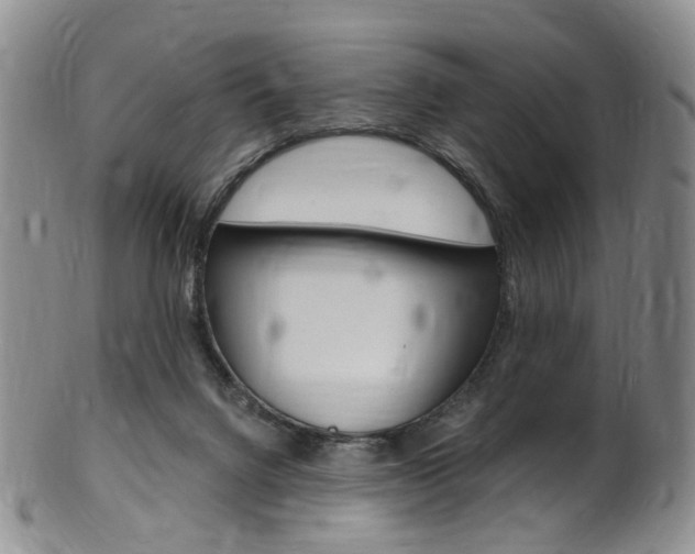 X0000101650072200807100949