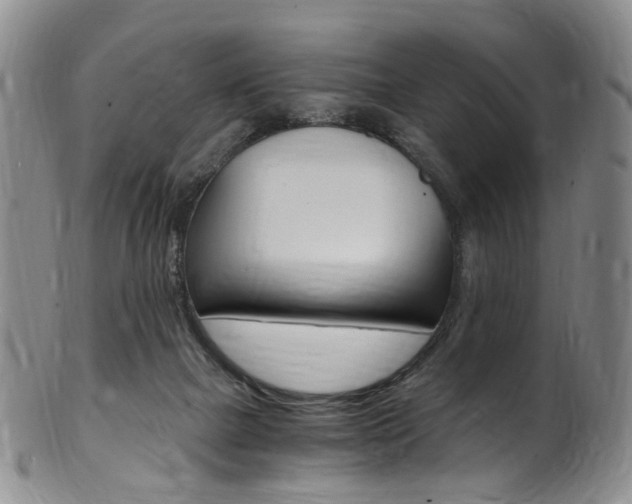 X0000101650073200807100949